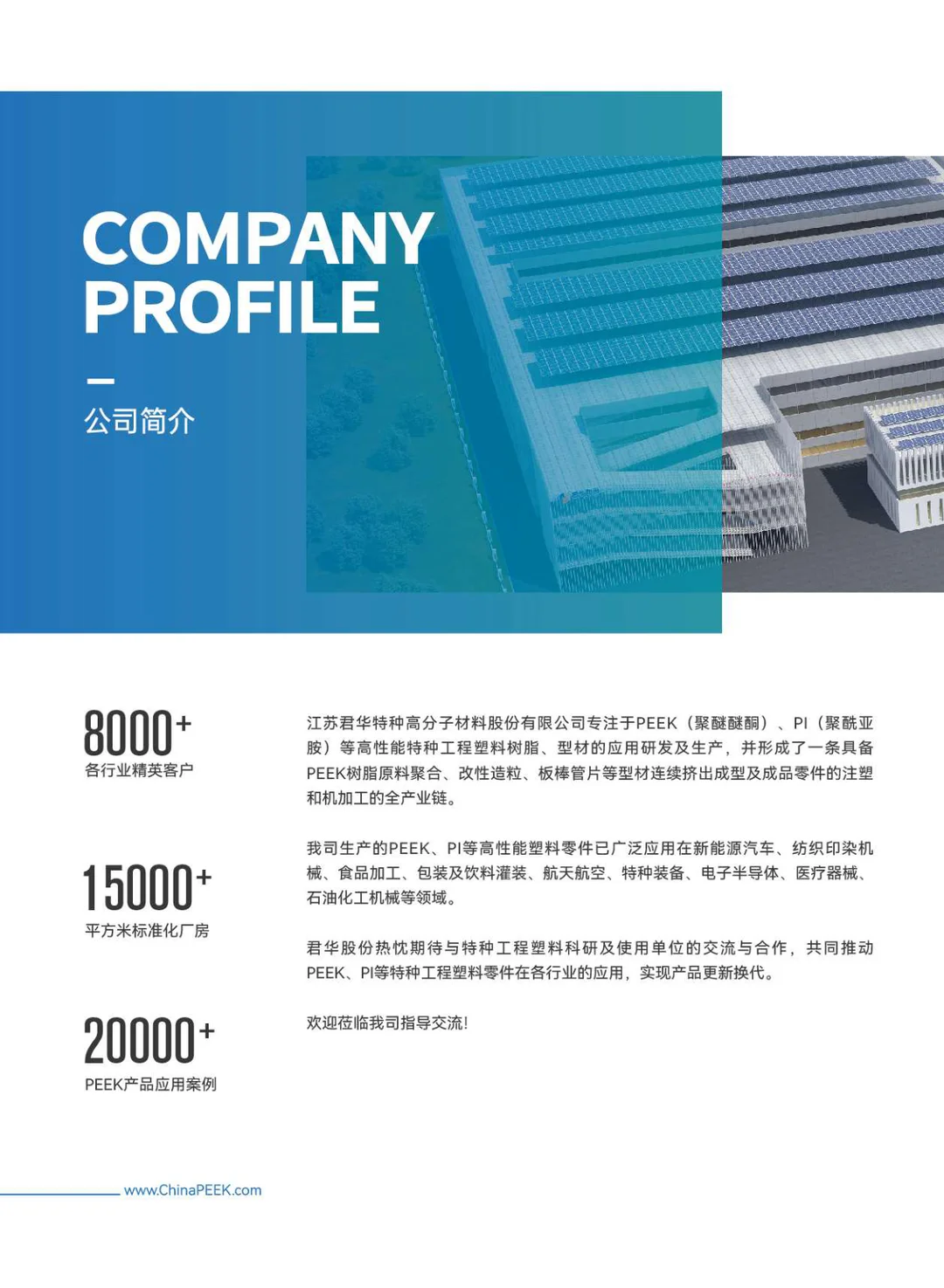 新能源汽车电机用PEEK扁线及粒子